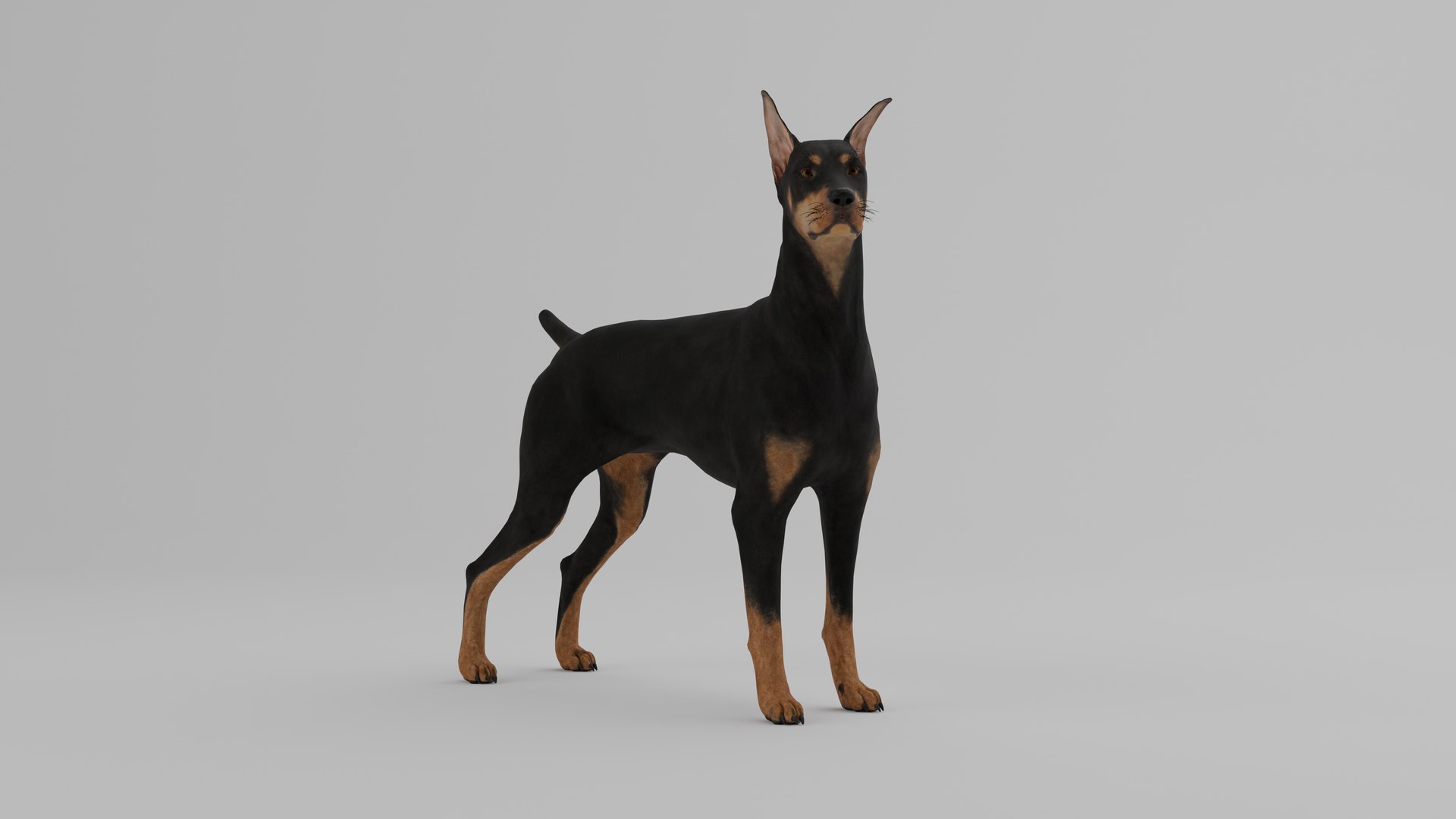 Ultimate Animal Bundle  17 Species  Fully Rigged Game Ready with Fur 3D model https://p.turbosquid.com/ts-thumb/TF/cBvZxh/TV/pa/png/1766507691/1920x1080/fit_q87/00540d8221d2121f1ff376f843d3a94090e4b162/pa.jpg