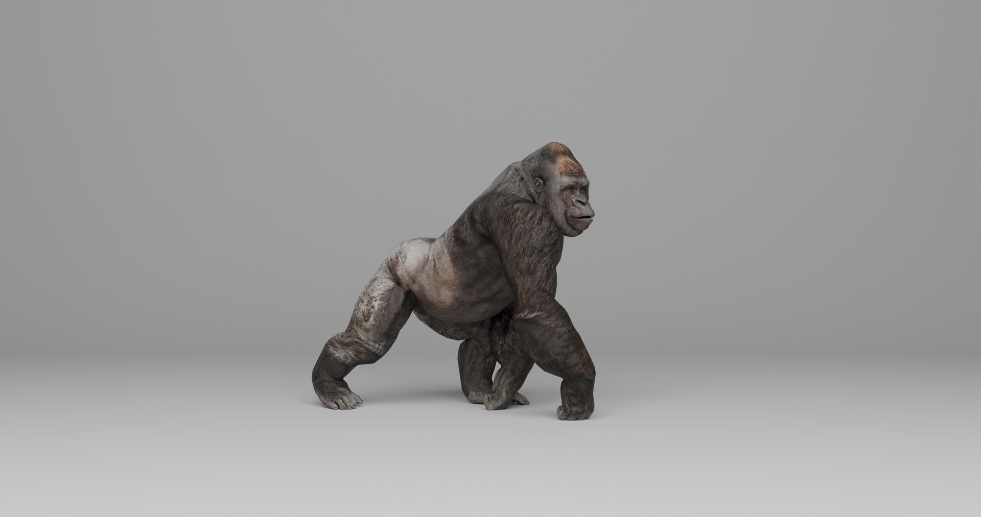 Ultimate Animal Bundle  17 Species  Fully Rigged Game Ready with Fur 3D model https://p.turbosquid.com/ts-thumb/TF/cBvZxh/YA/gop2/png/1766508165/1920x1080/fit_q87/b0f887a74c3b051f67e8da92127a5f582e704b75/gop2.jpg