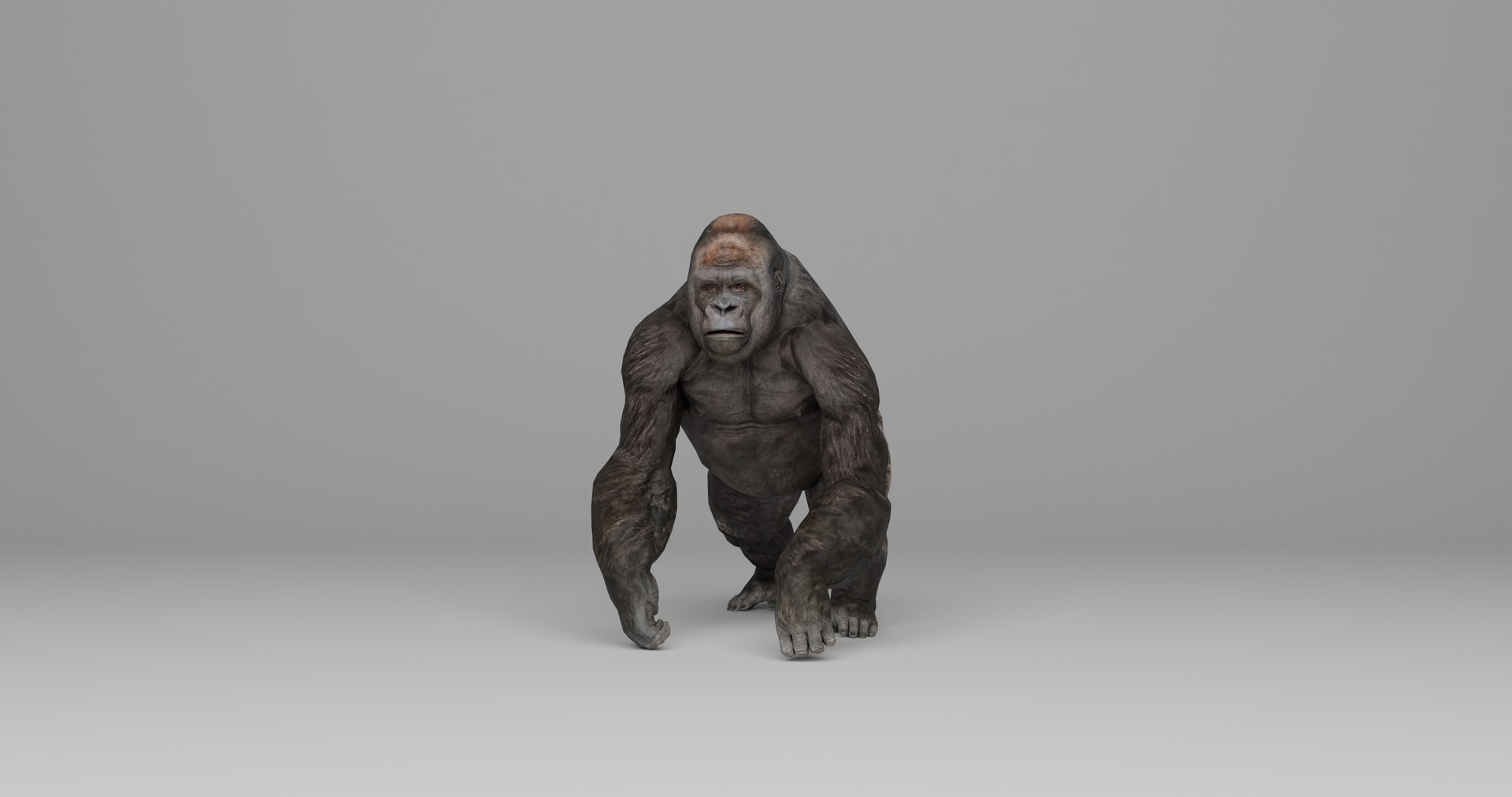 Ultimate Animal Bundle  17 Species  Fully Rigged Game Ready with Fur 3D model https://p.turbosquid.com/ts-thumb/TF/cBvZxh/Z0/gop3/png/1766508206/1920x1080/fit_q87/0f775d20a9a8828fb205ab433cc85256bbbb1412/gop3.jpg