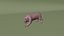 Paquete de animales definitivo: 17 especies, totalmente equipado y listo para jugar con pelaje.