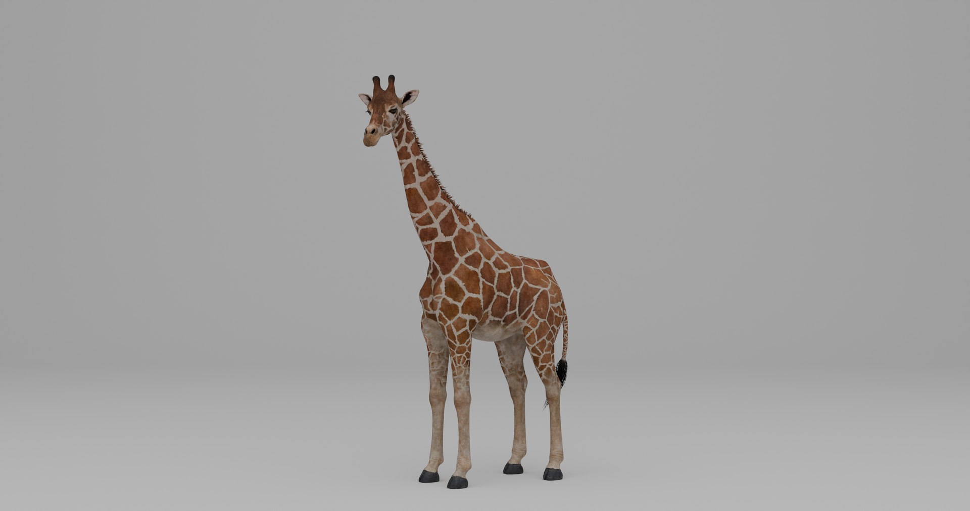 Ultimate Animal Bundle  17 Species  Fully Rigged Game Ready with Fur 3D model https://p.turbosquid.com/ts-thumb/TF/cBvZxh/Z6/g1/png/1766508104/1920x1080/fit_q87/84e87bdea9b7c35faf821057a126615e5aabaa78/g1.jpg