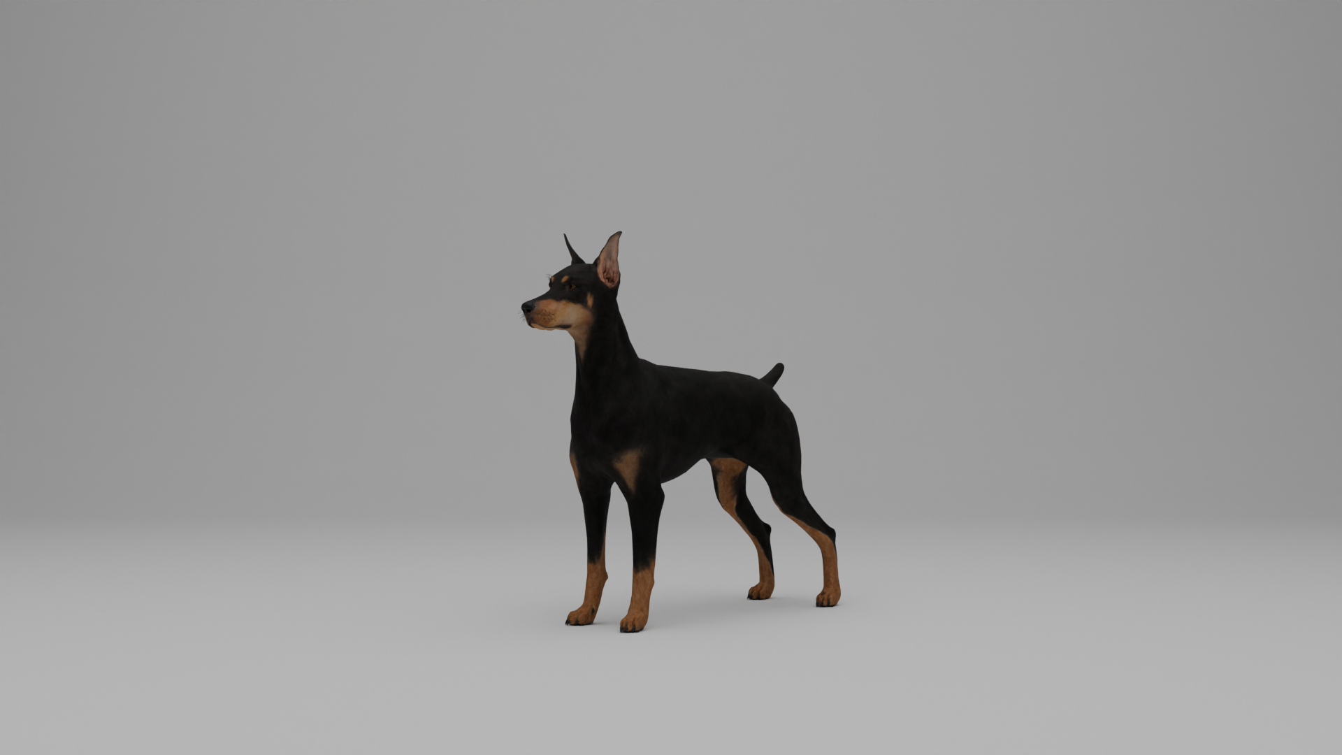 Ultimate Animal Bundle  17 Species  Fully Rigged Game Ready with Fur 3D model https://p.turbosquid.com/ts-thumb/TF/cBvZxh/bX/turntable/png/1766510306/1920x1080/turn_fit_q99/b4c8f624339491a5281026fcfbacb58b8f122b6e/turntable-1.jpg