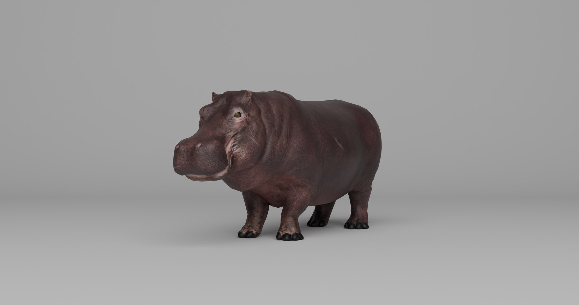 Ultimate Animal Bundle  17 Species  Fully Rigged Game Ready with Fur 3D model https://p.turbosquid.com/ts-thumb/TF/cBvZxh/hx/hipp1/png/1766508346/1920x1080/fit_q87/763d075ae5c236279797d5316647369a93f84fb5/hipp1.jpg