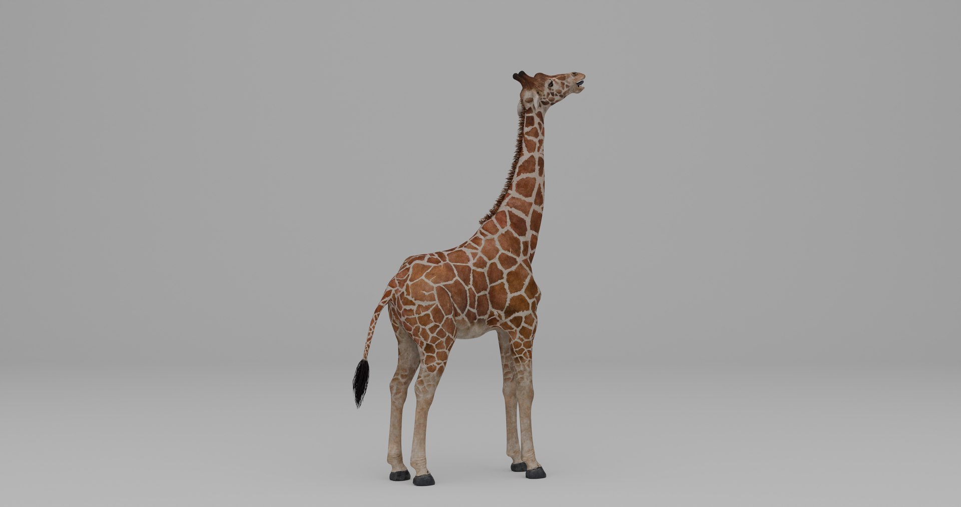 Ultimate Animal Bundle  17 Species  Fully Rigged Game Ready with Fur 3D model https://p.turbosquid.com/ts-thumb/TF/cBvZxh/iQ/g3/png/1766508125/1920x1080/fit_q87/ee170f0a6d52bb3418d4aabccc68f6912229673a/g3.jpg