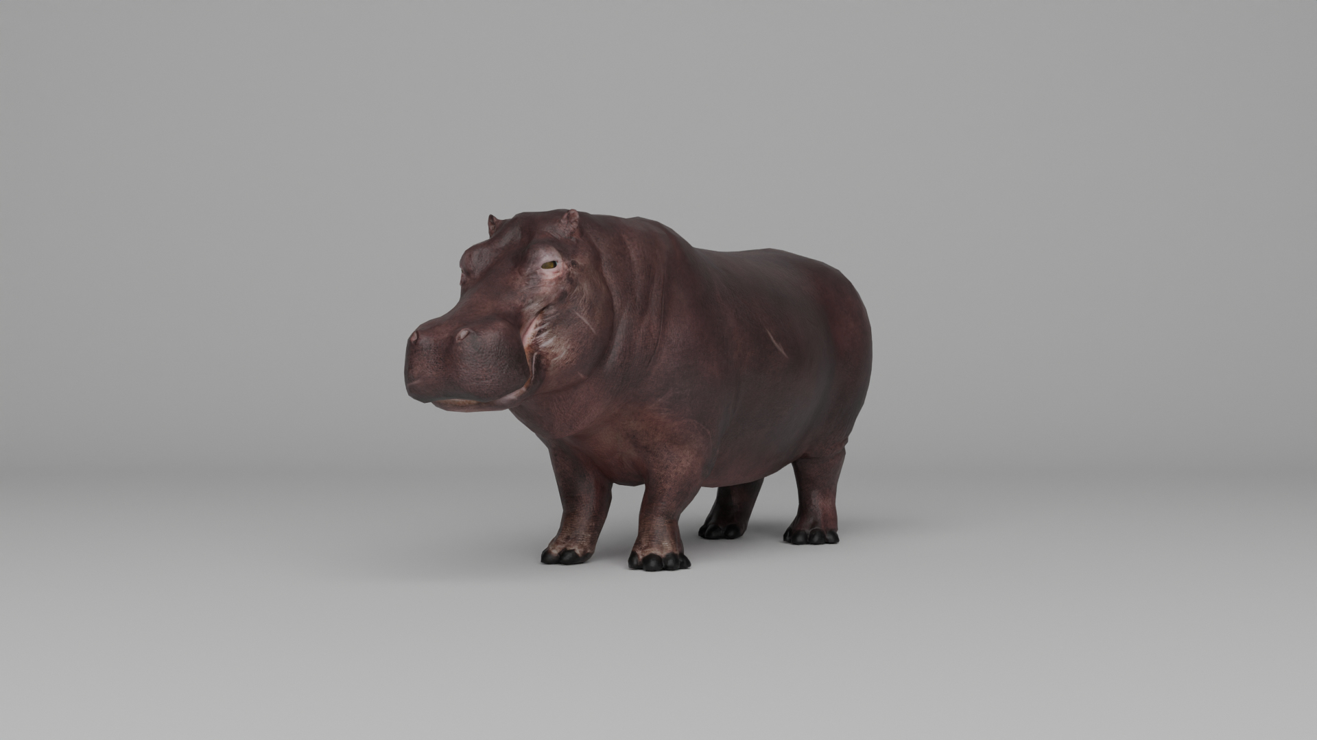 Ultimate Animal Bundle  17 Species  Fully Rigged Game Ready with Fur 3D model https://p.turbosquid.com/ts-thumb/TF/cBvZxh/iQ/turntable/png/1766510848/1920x1080/turn_fit_q99/7892c1f162ae8afe849011d383f1b198e8baef70/turntable-1.jpg