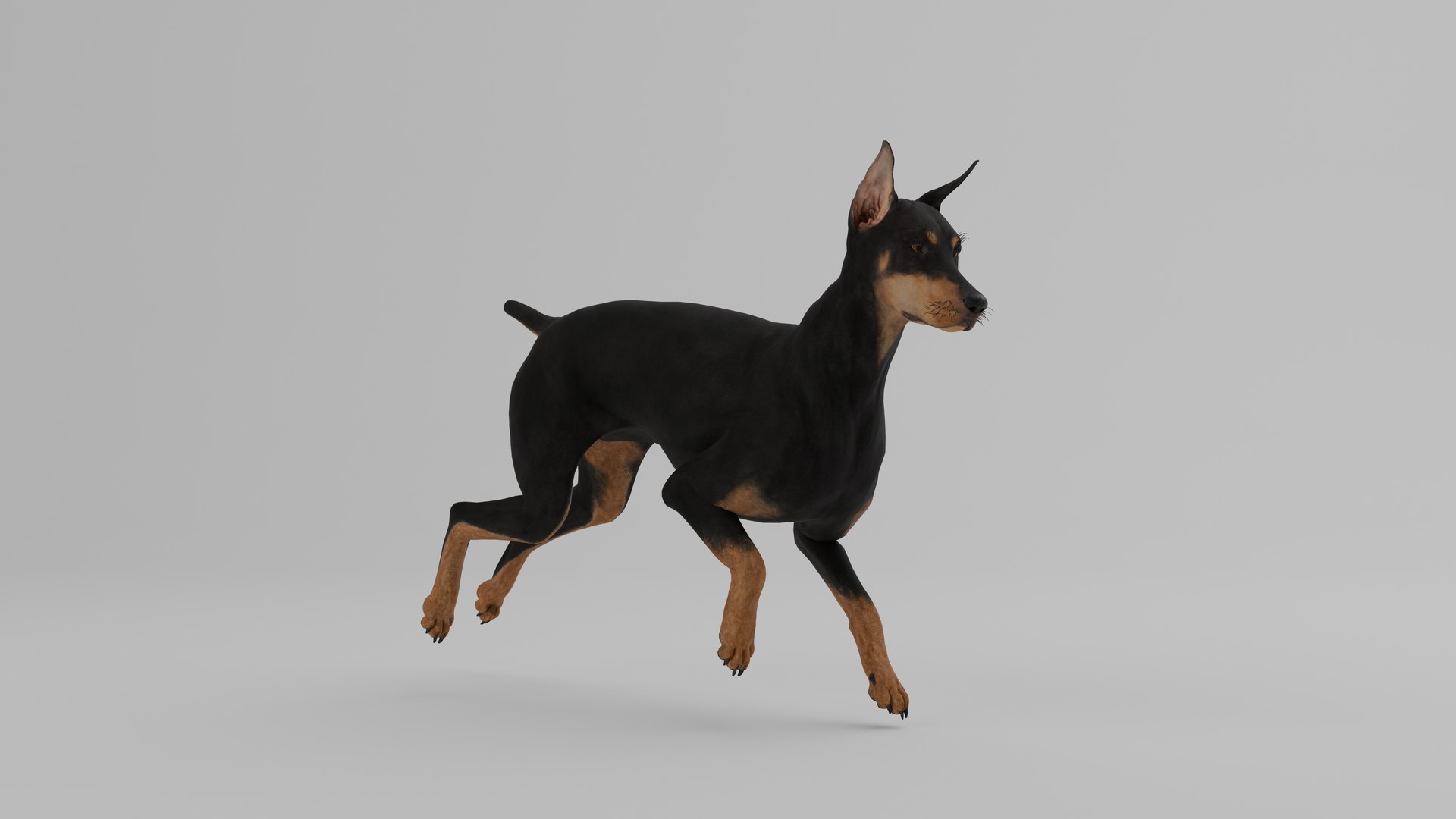 Ultimate Animal Bundle  17 Species  Fully Rigged Game Ready with Fur 3D model https://p.turbosquid.com/ts-thumb/TF/cBvZxh/lC/papa/png/1766507770/1920x1080/fit_q87/3d9d4200f79c065d4250ee6ce9ffbf05db46a412/papa.jpg
