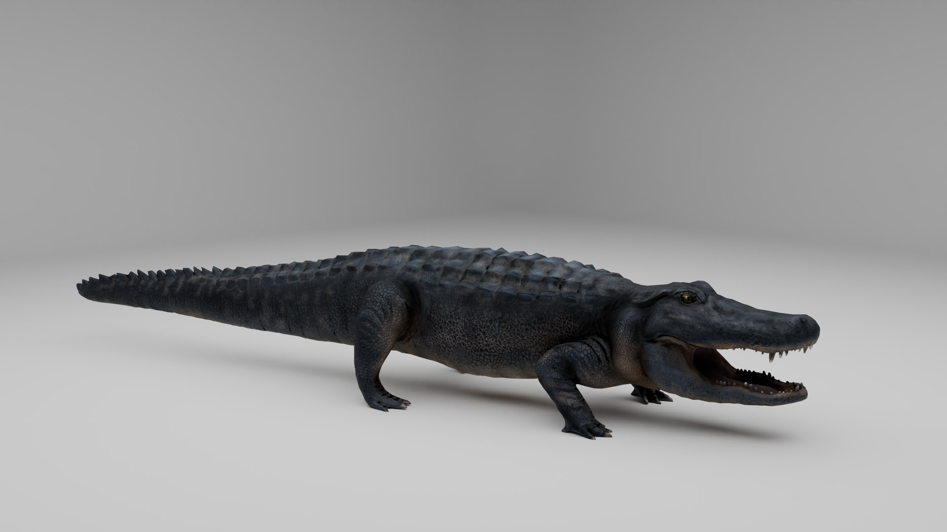 Ultimate Animal Bundle  17 Species  Fully Rigged Game Ready with Fur 3D model https://p.turbosquid.com/ts-thumb/TF/cBvZxh/po/cro3/png/1766507466/1920x1080/fit_q87/a83f79cc9dd3aa66bf3574b9e9b7801df7e103fb/cro3.jpg