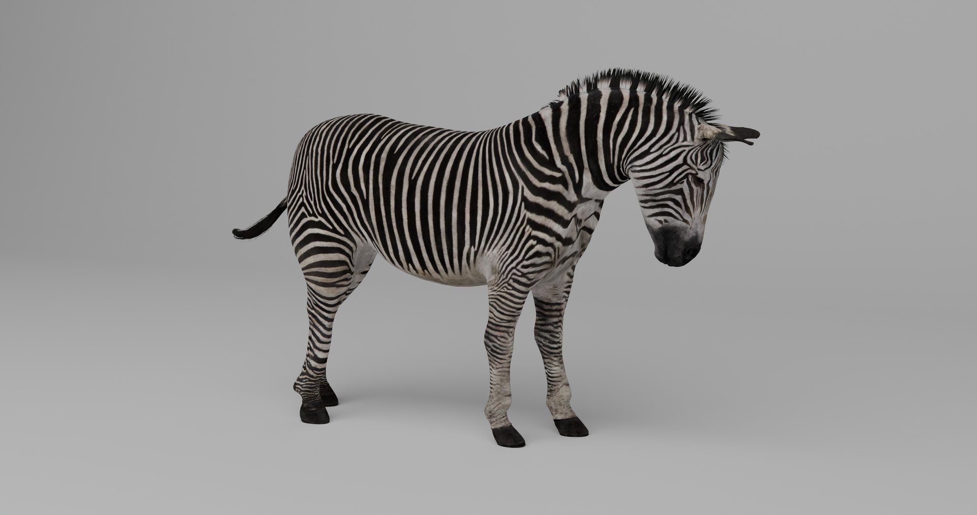 Ultimate Animal Bundle  17 Species  Fully Rigged Game Ready with Fur 3D model https://p.turbosquid.com/ts-thumb/TF/cBvZxh/tE/z2/png/1766509148/1920x1080/fit_q87/c2f9e13020cad80eb042a8e19324799c8f767462/z2.jpg