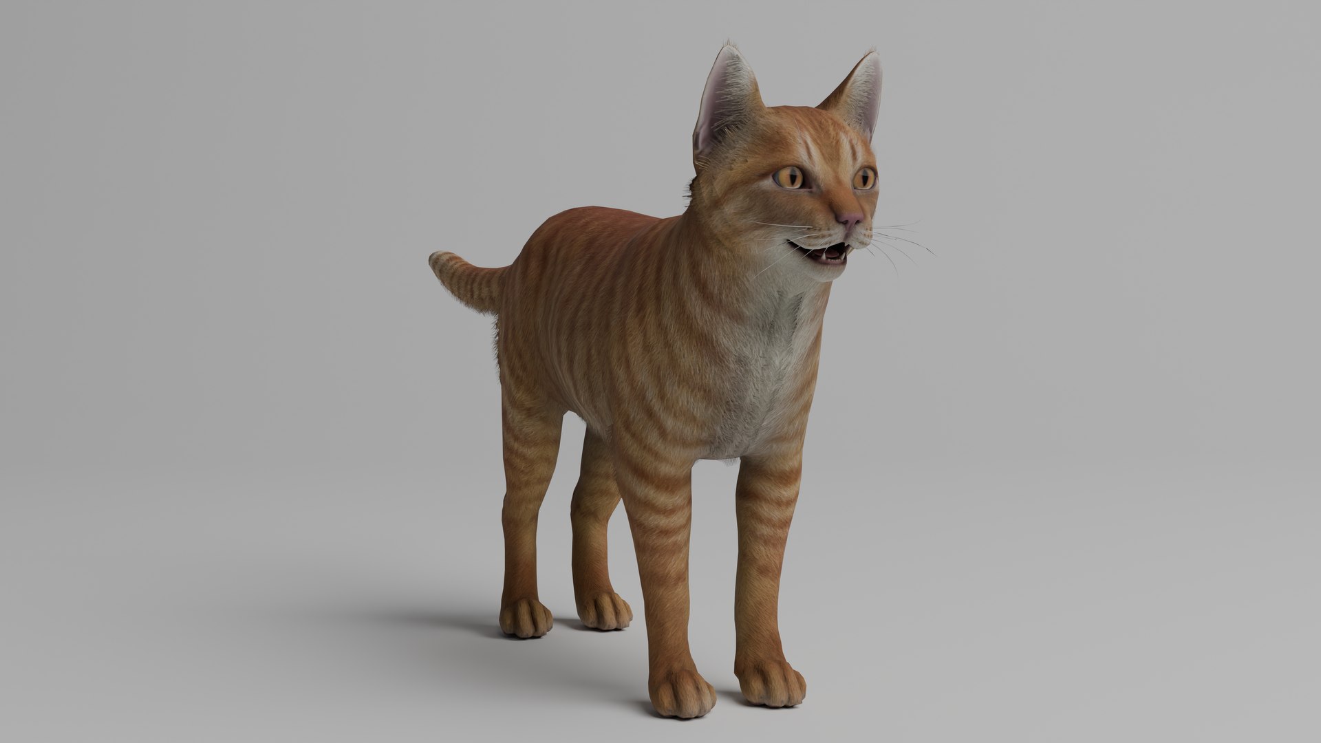 Ultimate Animal Bundle  17 Species  Fully Rigged Game Ready with Fur 3D model https://p.turbosquid.com/ts-thumb/TF/cBvZxh/v0/cat3/png/1766507338/1920x1080/fit_q87/4d489d882ccbb0b78a8bed99ec92851295626274/cat3.jpg