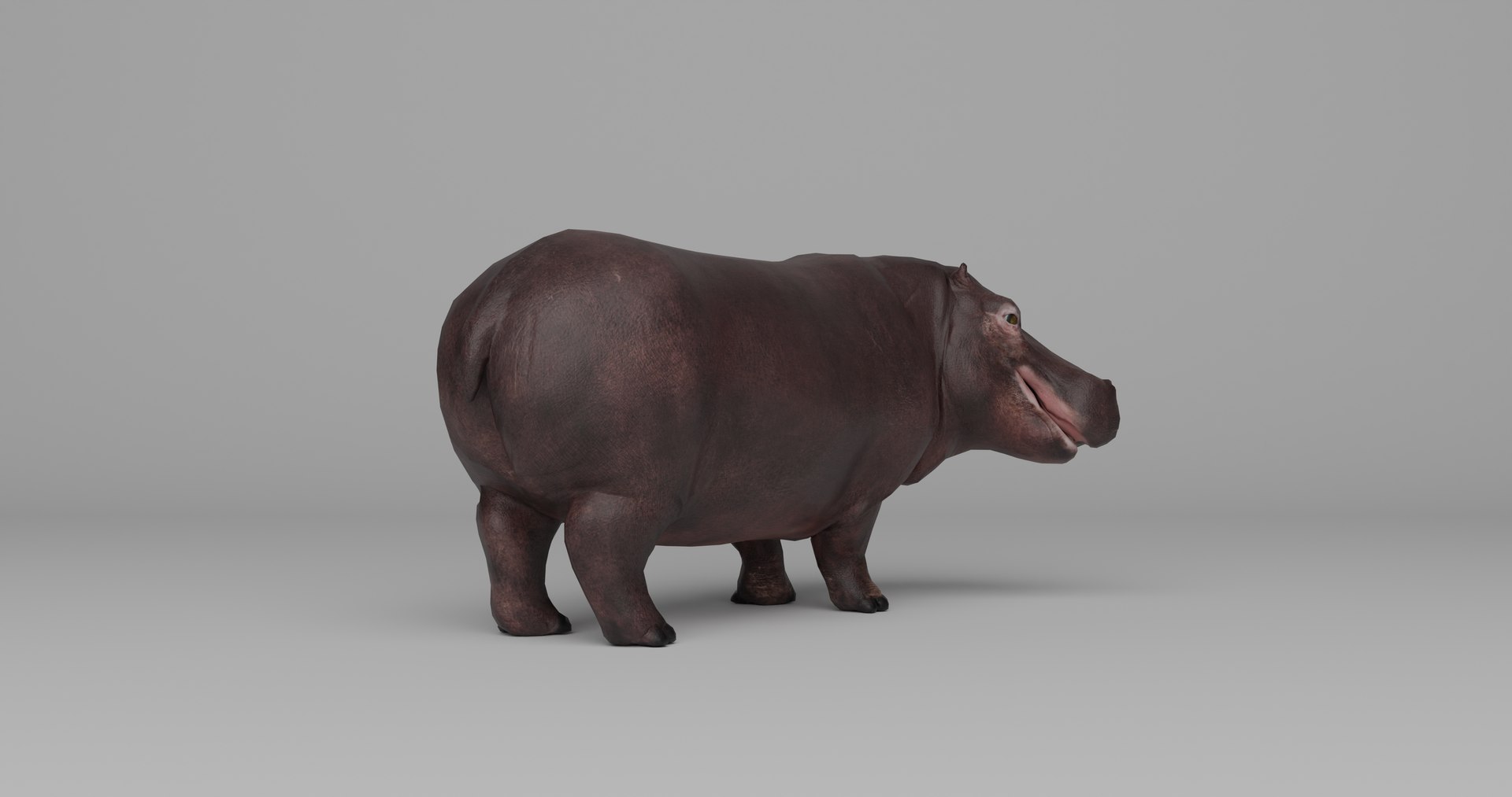 Ultimate Animal Bundle  17 Species  Fully Rigged Game Ready with Fur 3D model https://p.turbosquid.com/ts-thumb/TF/cBvZxh/wR/hipp3/png/1766508388/1920x1080/fit_q87/966851154e20923c32bba52ca0edc7607a7c6609/hipp3.jpg