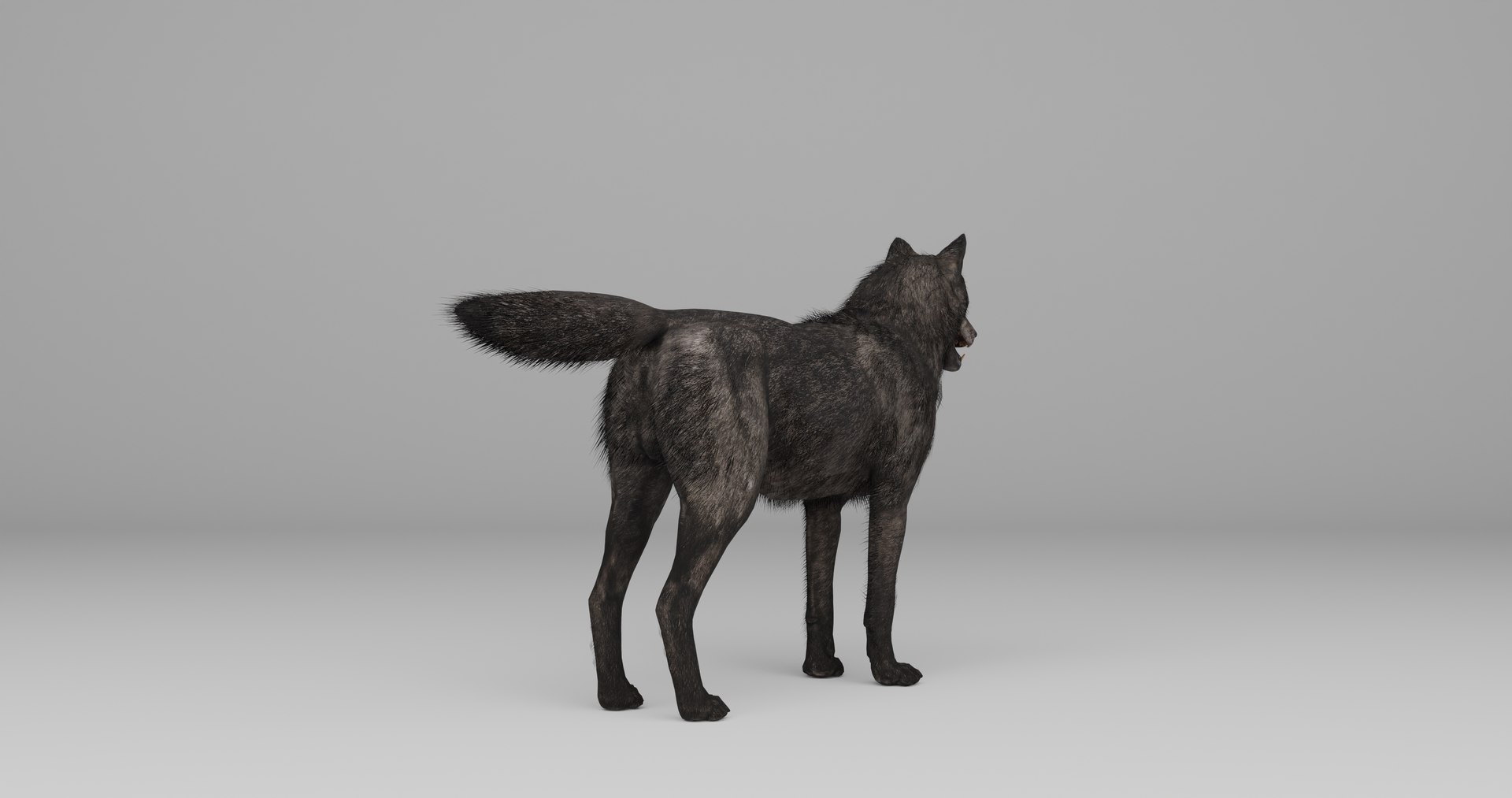 Ultimate Animal Bundle  17 Species  Fully Rigged Game Ready with Fur 3D model https://p.turbosquid.com/ts-thumb/TF/cBvZxh/zQ/12/png/1766509052/1920x1080/fit_q87/8572bb89c88c8a53eeca2c01296a997e4b942704/12.jpg