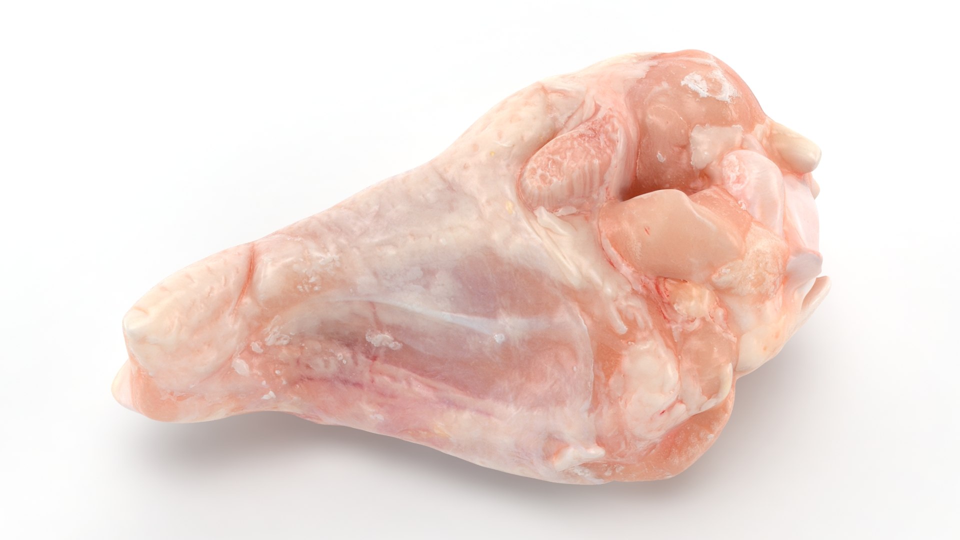 Fresh Raw Chicken Wing Drumette V1 3D TurboSquid 2053316