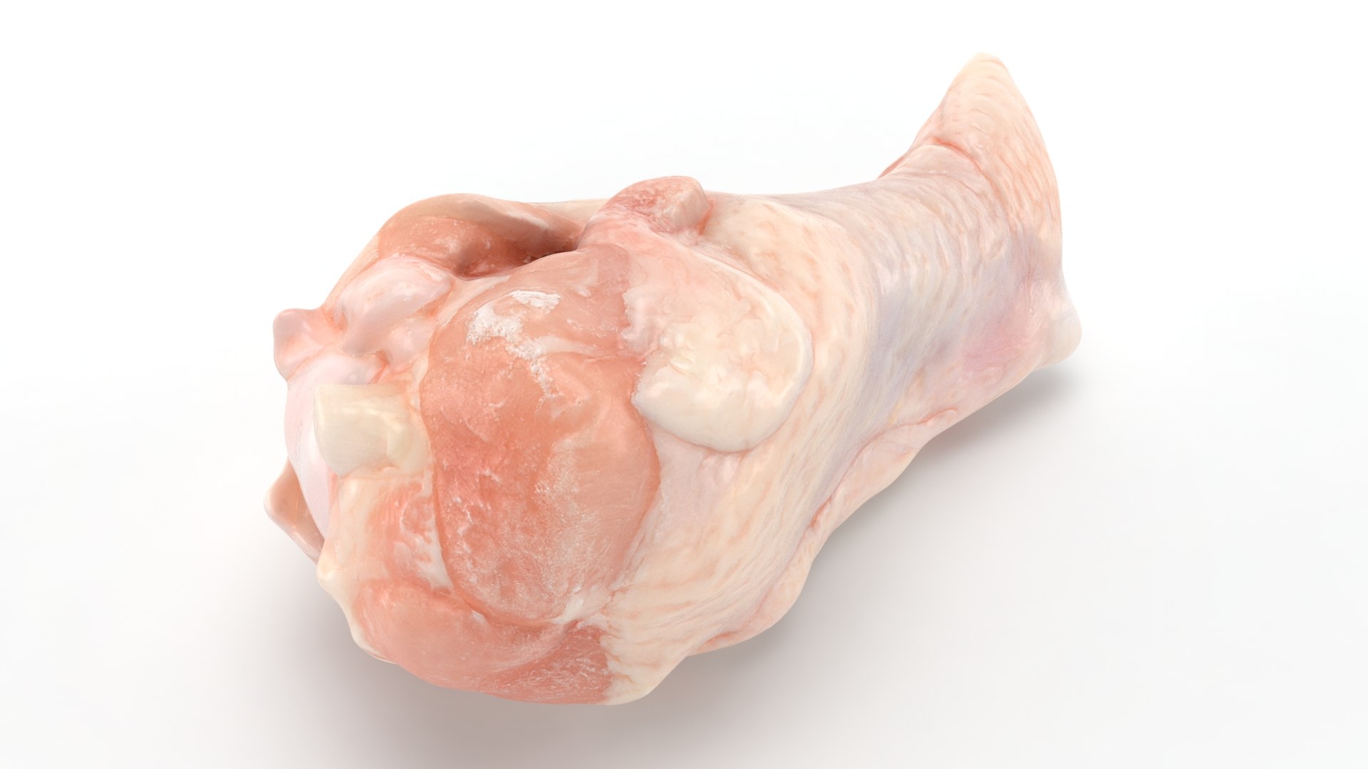 Fresh Raw Chicken Wing Drumette v1 3D https://p.turbosquid.com/ts-thumb/TF/io7IQX/Eb/chickendrumettev1_b0002/jpg/1680885793/1920x1080/fit_q87/07718e3b6626138310597ac7ffe62e30741590f8/chickendrumettev1_b0002.jpg