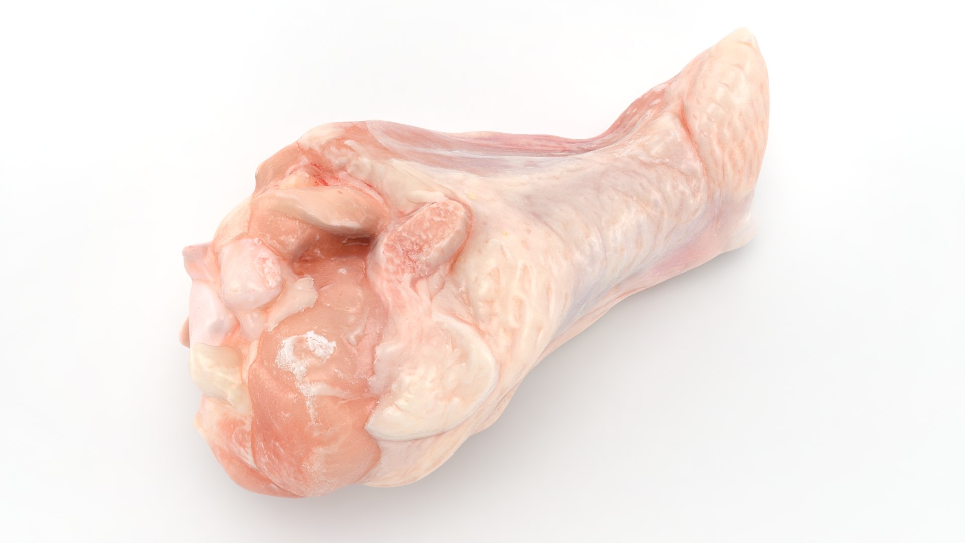 Fresh Raw Chicken Wing Drumette v1 3D https://p.turbosquid.com/ts-thumb/TF/io7IQX/JR/chickendrumettev1_b0010/jpg/1680885796/1920x1080/fit_q87/0e8a639e61404bb351cfc49a2e11a24169ccba23/chickendrumettev1_b0010.jpg