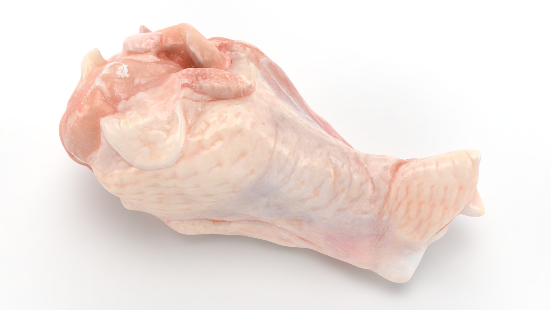 Fresh Raw Chicken Wing Drumette V1 3D TurboSquid 2053316