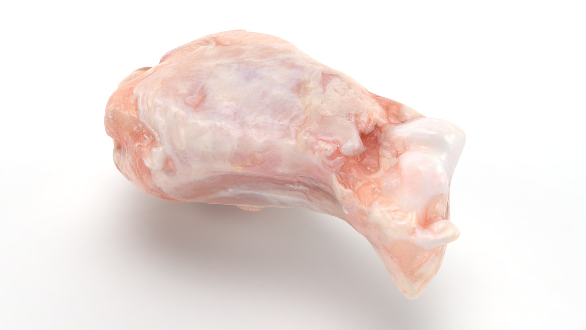 Fresh Raw Chicken Wing Drumette v1 3D https://p.turbosquid.com/ts-thumb/TF/io7IQX/Zw/chickendrumettev1_b0024/jpg/1680885801/1920x1080/fit_q87/7b48b58d1817d12232b5ed52999376746594a931/chickendrumettev1_b0024.jpg