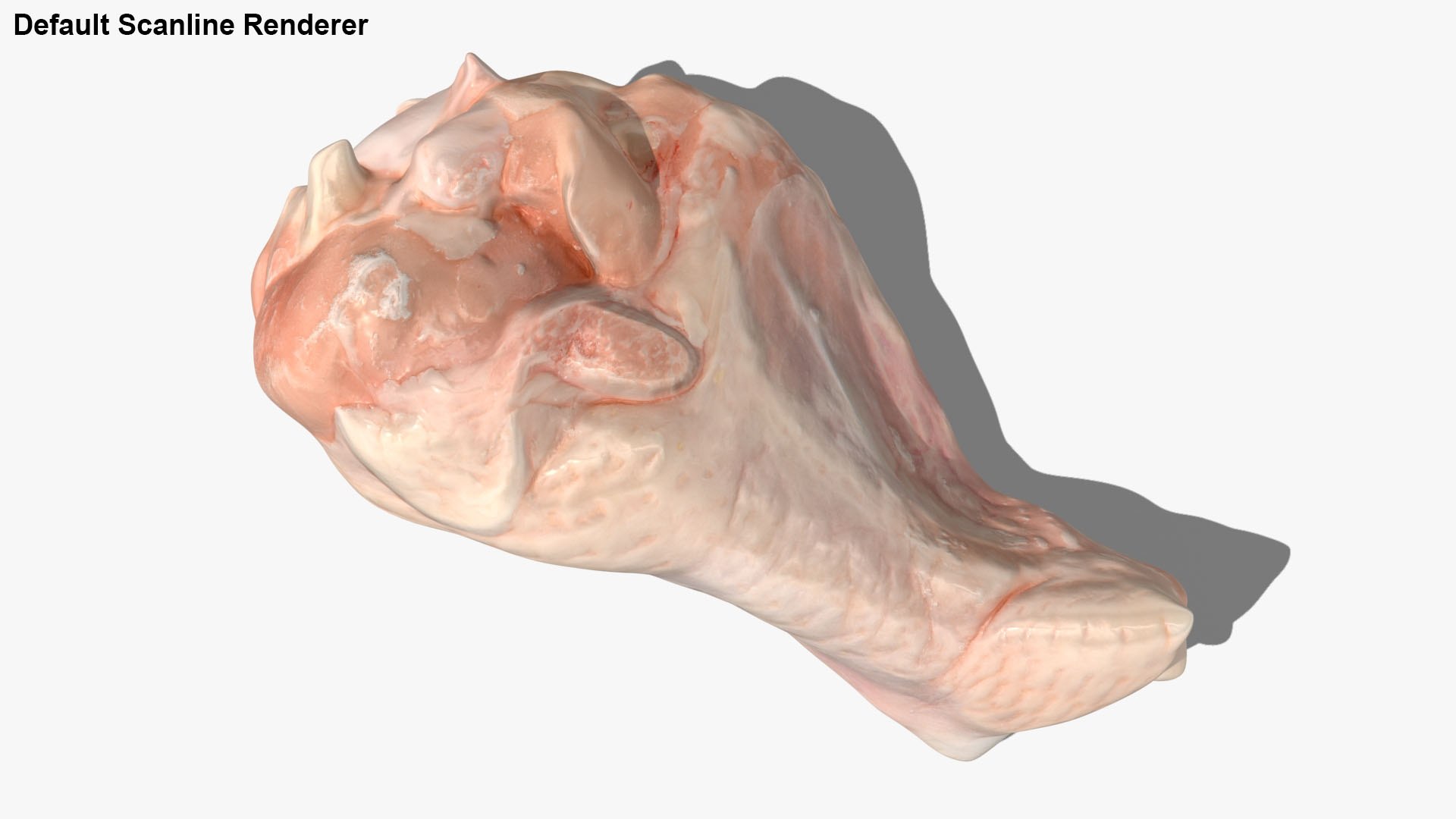 Fresh Raw Chicken Wing Drumette v1 3D https://p.turbosquid.com/ts-thumb/TF/io7IQX/ha/chickendrumettev1_g0030/jpg/1680885809/1920x1080/fit_q87/fcbbb2a3269d25b6086aa0e3cc28d9b4c66d9100/chickendrumettev1_g0030.jpg