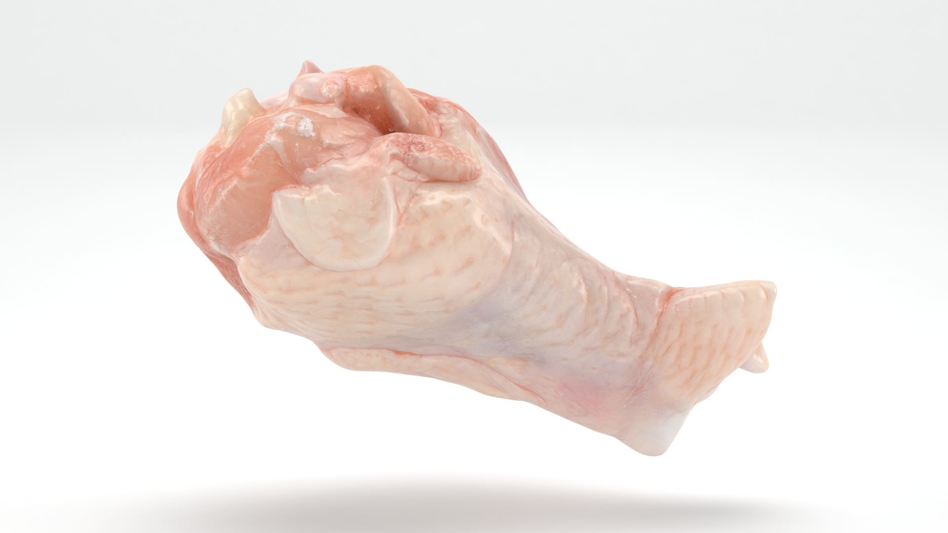 Fresh Raw Chicken Wing Drumette V1 3D TurboSquid 2053316