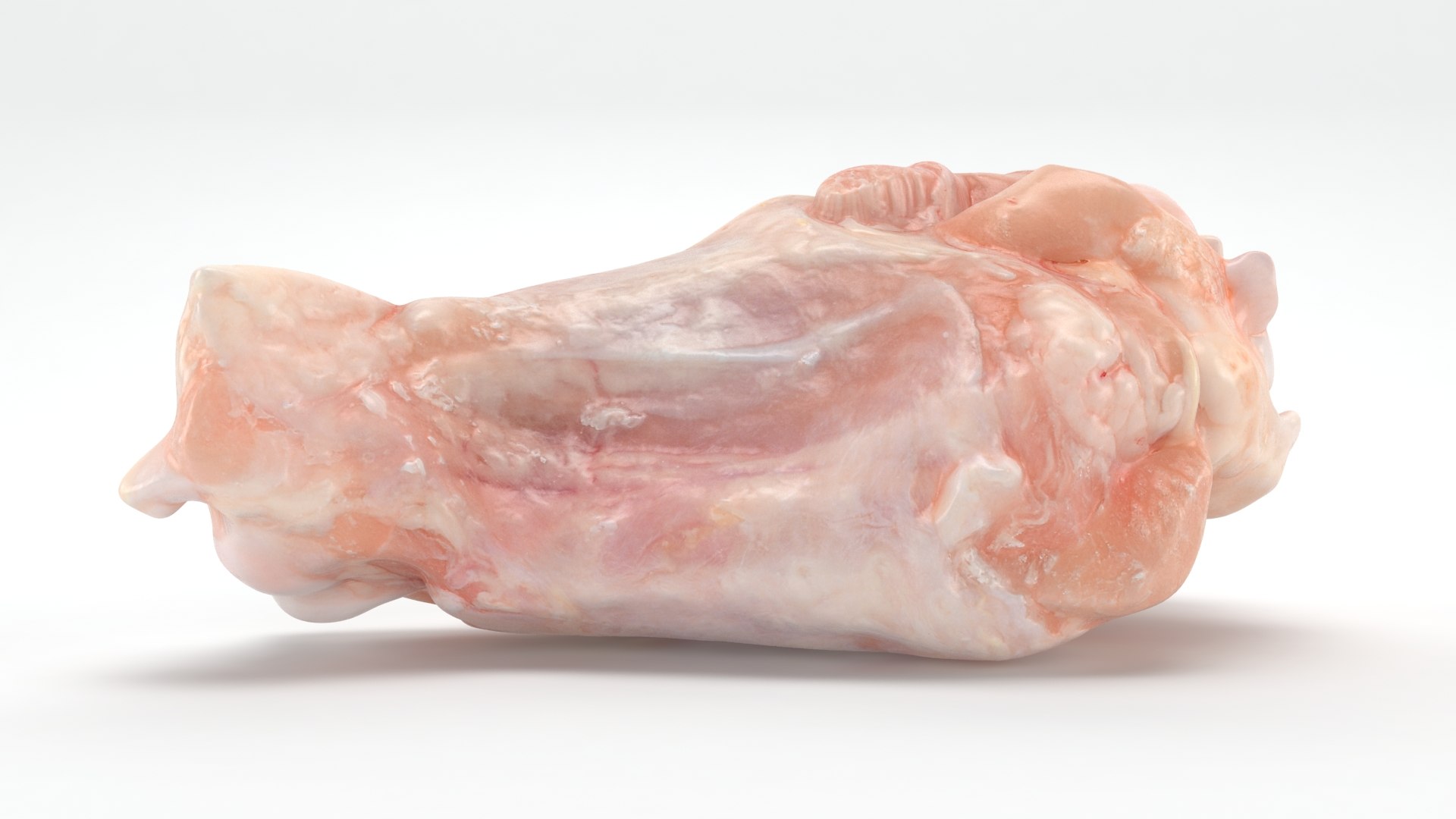 Fresh Raw Chicken Wing Drumette v1 3D https://p.turbosquid.com/ts-thumb/TF/io7IQX/s4/chickendrumettev1_b0006/jpg/1680885794/1920x1080/fit_q87/cef0037452265327d93a63614683276db06dc2b7/chickendrumettev1_b0006.jpg