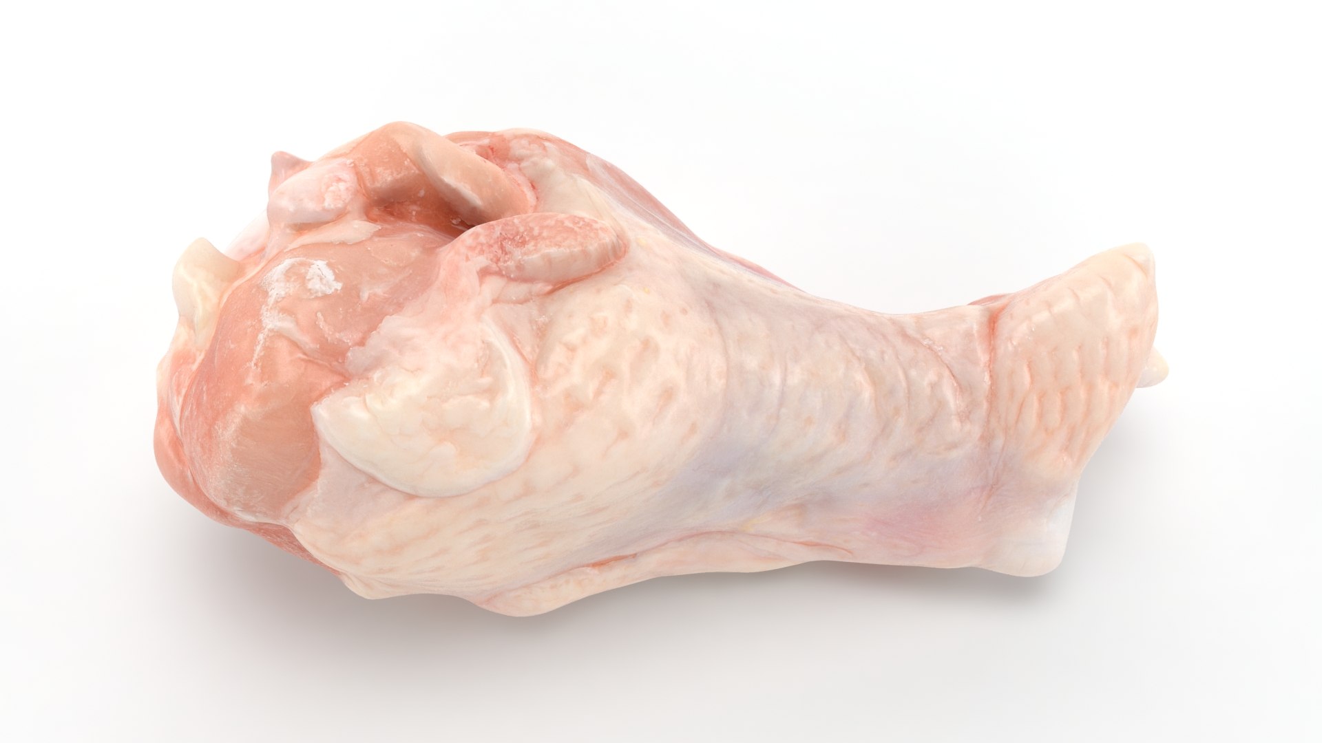 Fresh Raw Chicken Wing Drumette v1 3D https://p.turbosquid.com/ts-thumb/TF/io7IQX/xB/chickendrumettev1_b0000/jpg/1680885791/1920x1080/fit_q87/e8a2d15caa6712803525e82b624834db8ec17a39/chickendrumettev1_b0000.jpg