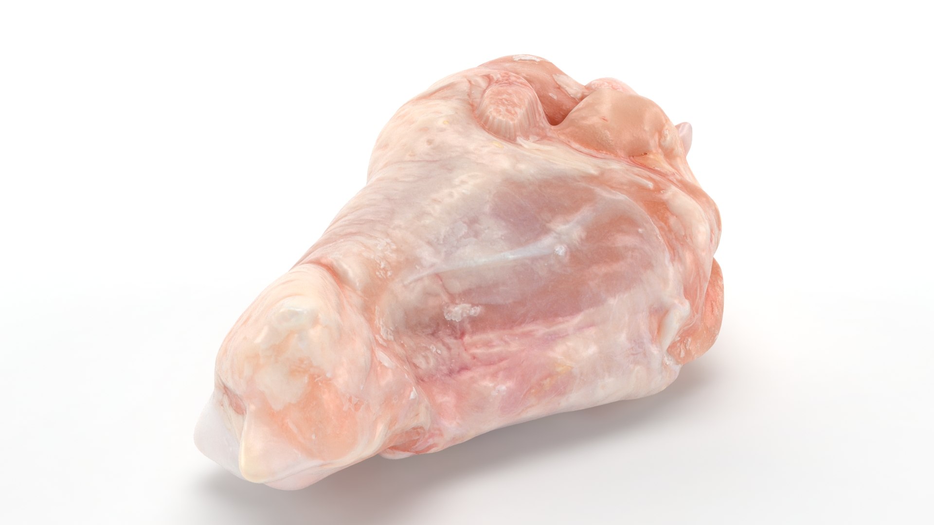 Fresh Raw Chicken Wing Drumette v1 3D https://p.turbosquid.com/ts-thumb/TF/io7IQX/xn/chickendrumettev1_b0020/jpg/1680885799/1920x1080/fit_q87/f475e9ef00351de25200c93418303e0231ea1edc/chickendrumettev1_b0020.jpg