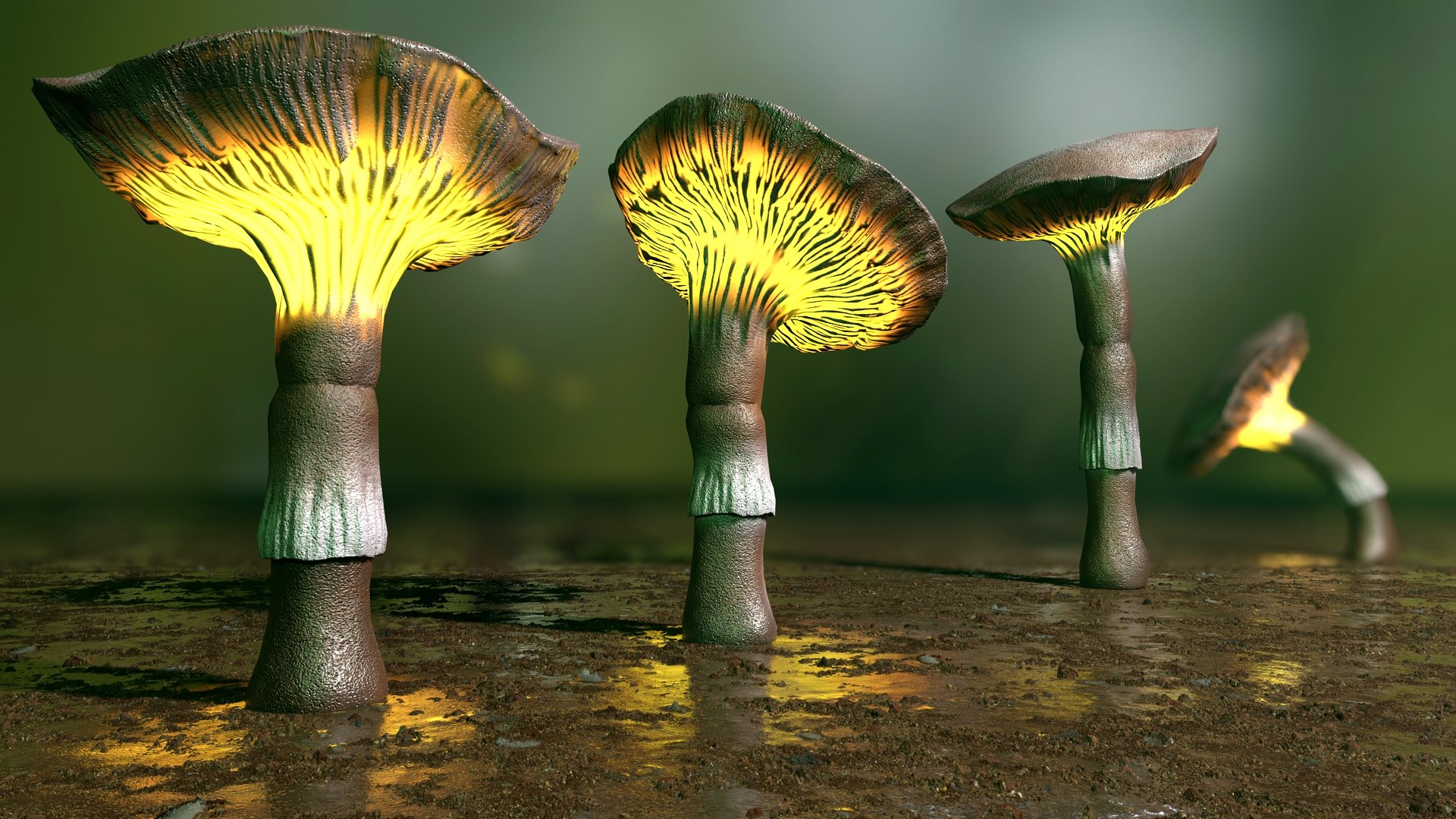 Fantasy Mushroom Collection 3D https://p.turbosquid.com/ts-thumb/TF/spzEbM/7U/mushrooms_middle_screen_8/jpg/1685522218/1920x1080/fit_q87/f75c8dffe92217c552aaf6e3f53548a7eb094dd9/mushrooms_middle_screen_8.jpg