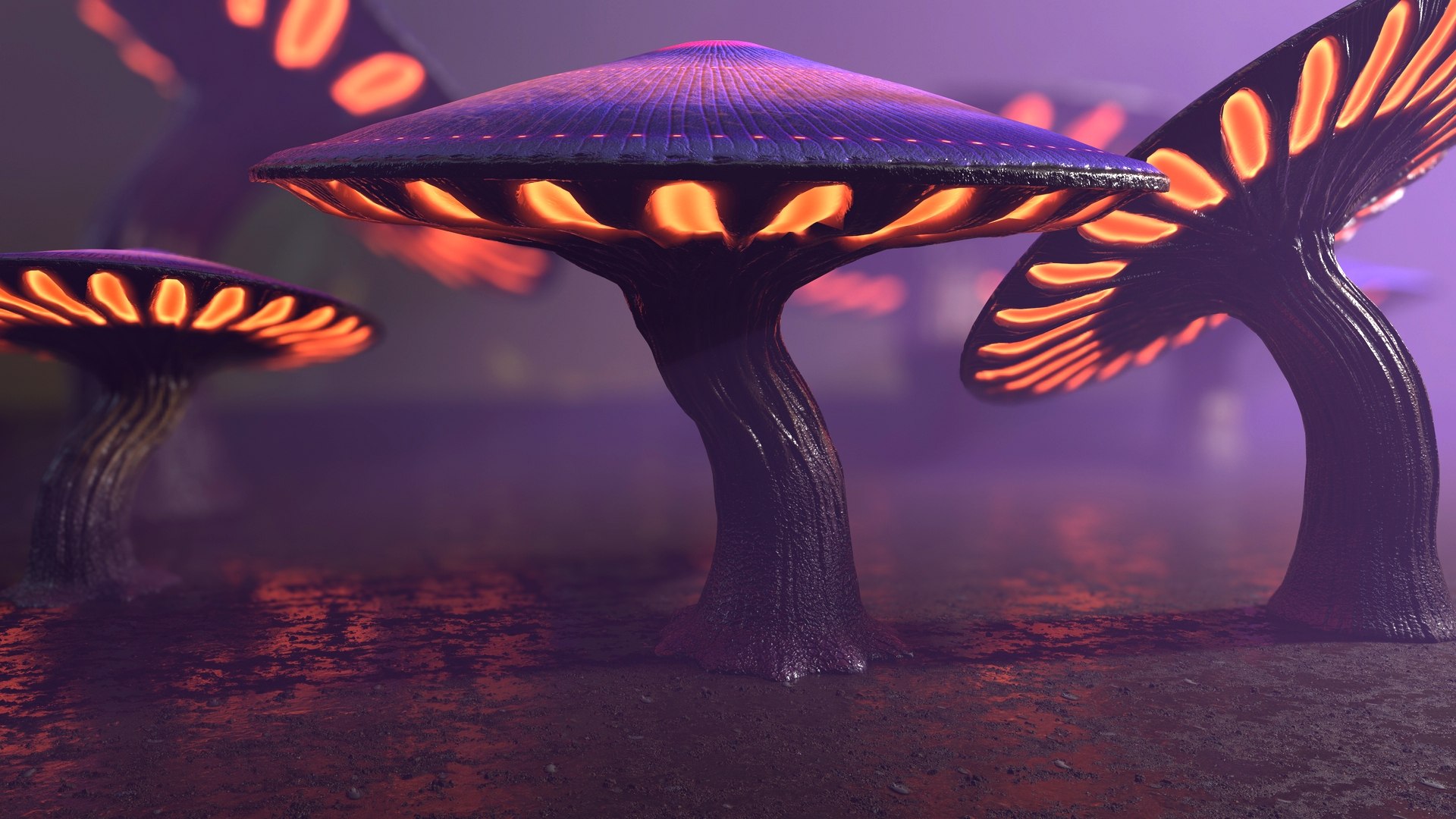 Fantasy Mushroom Collection 3D https://p.turbosquid.com/ts-thumb/TF/spzEbM/Es/mushrooms_giants_screen_1/jpg/1685522201/1920x1080/fit_q87/23d276d8a435ce5770459b2d291d30e62a0800d7/mushrooms_giants_screen_1.jpg