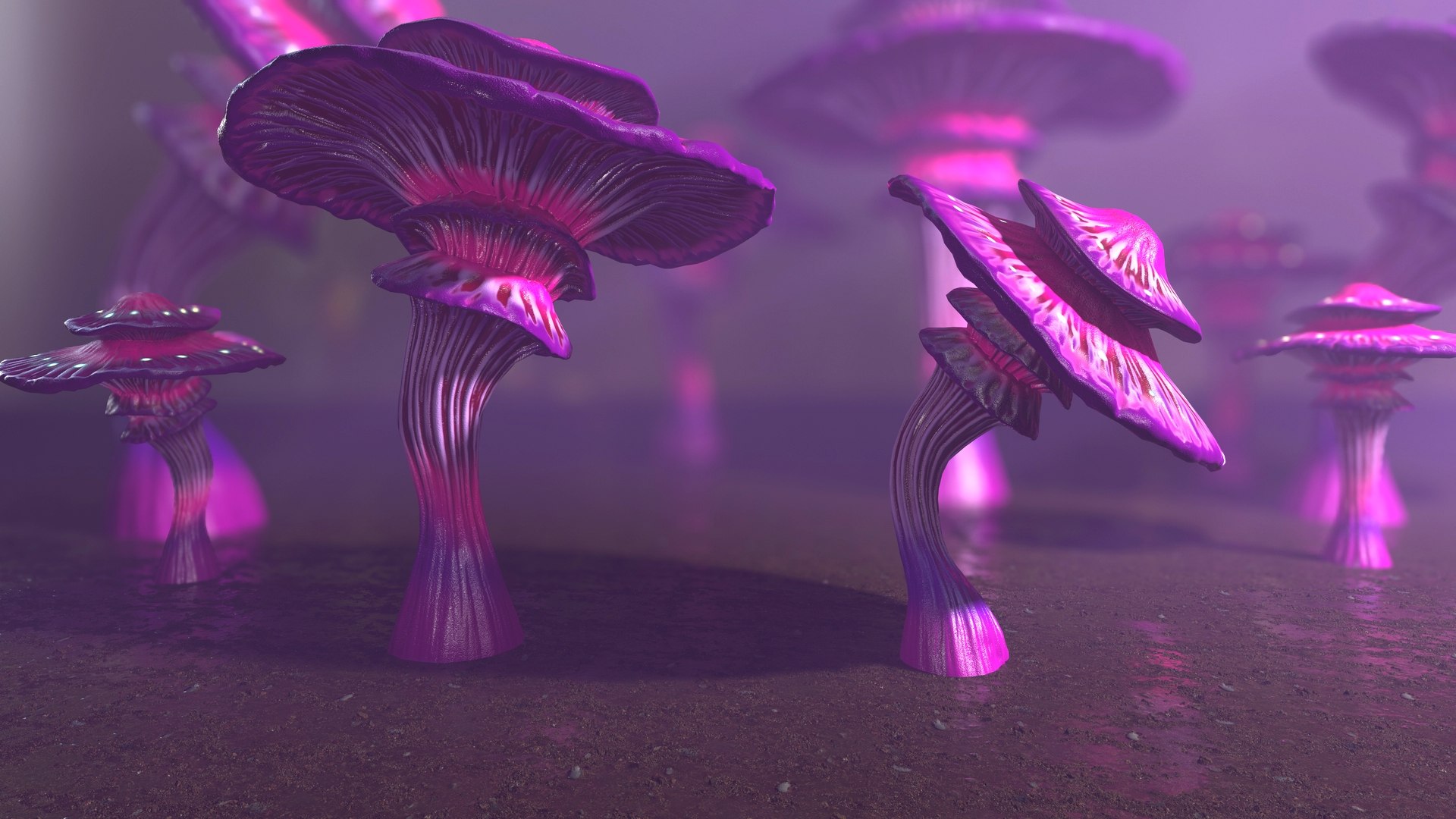 Fantasy Mushroom Collection 3D https://p.turbosquid.com/ts-thumb/TF/spzEbM/Es/mushrooms_giants_screen_20/jpg/1685522211/1920x1080/fit_q87/a253433539419136adf8d4ed4567cd44369c91cd/mushrooms_giants_screen_20.jpg
