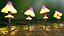 Fantasy-Pilz-Sammlung