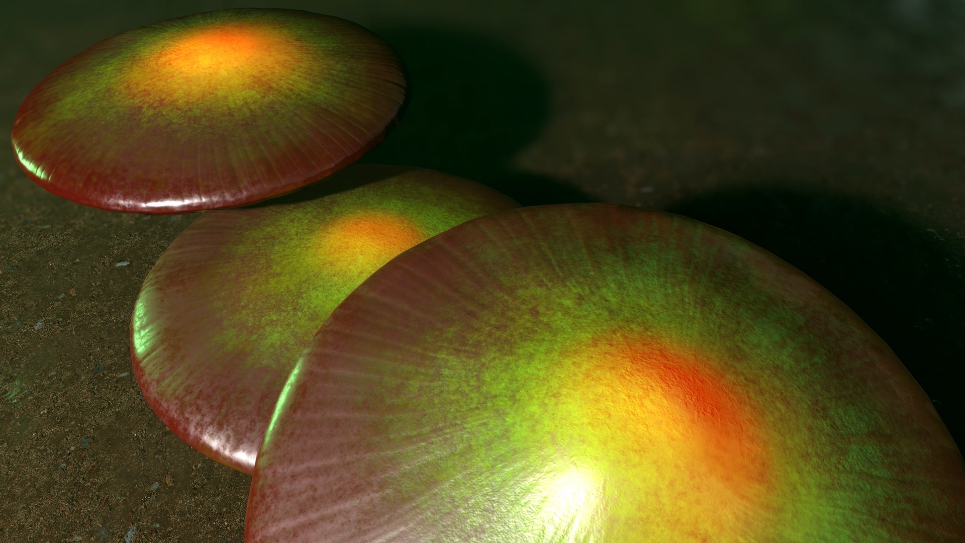 Fantasy Mushroom Collection 3D https://p.turbosquid.com/ts-thumb/TF/spzEbM/UT/mushrooms_middle_screen_4/jpg/1685522215/1920x1080/fit_q87/6a25c58f04765bac8001d7f62c3901fc51e310e1/mushrooms_middle_screen_4.jpg