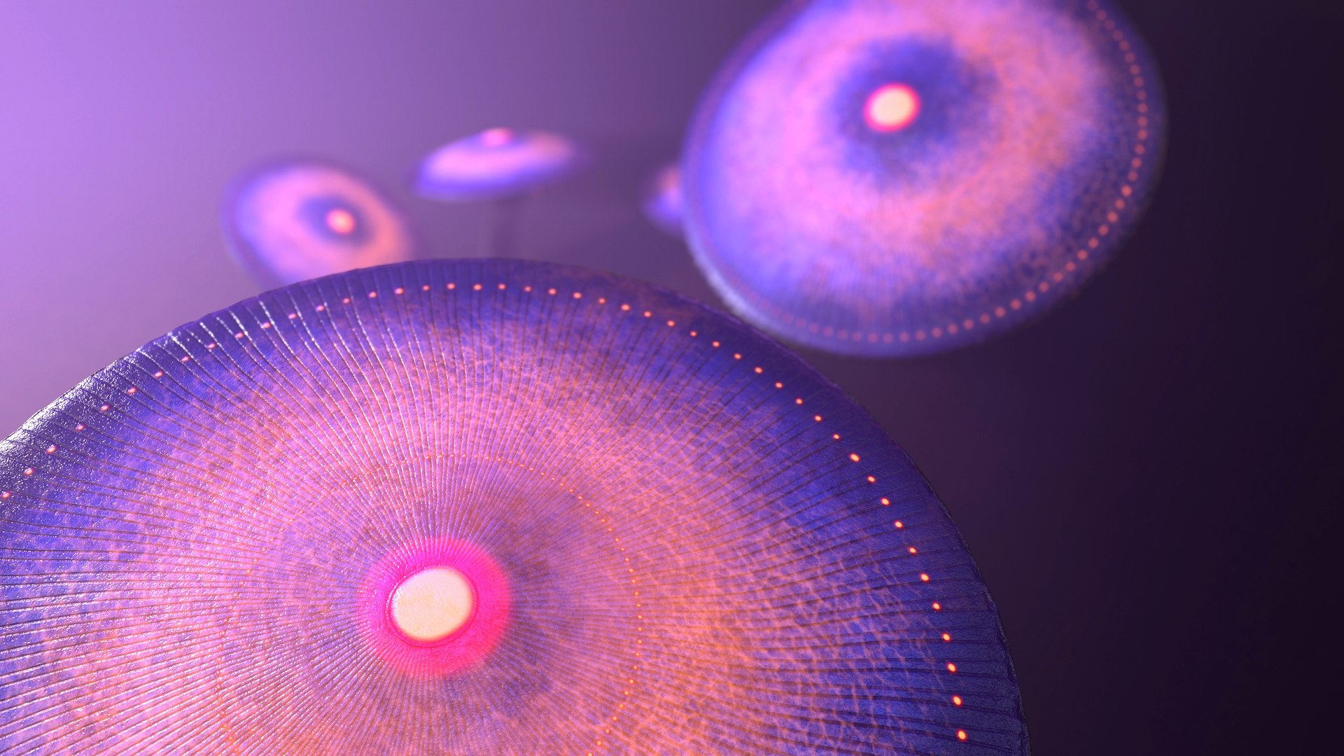 Fantasy Mushroom Collection 3D https://p.turbosquid.com/ts-thumb/TF/spzEbM/fK/mushrooms_giants_screen_4/jpg/1685522203/1920x1080/fit_q87/05348645c776a0b67fafb04ea55e3818493d43d7/mushrooms_giants_screen_4.jpg