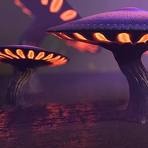 Fantasy Mushroom Collection 3D