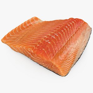 Raw Salmon 3D model
