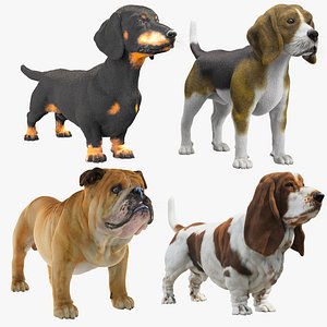 3D Dogs Collections VrayFur model