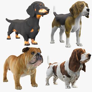 Dogs Collections VrayFur