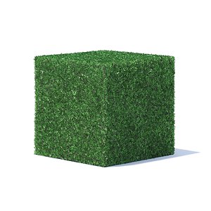 3D cube shaped hedge model