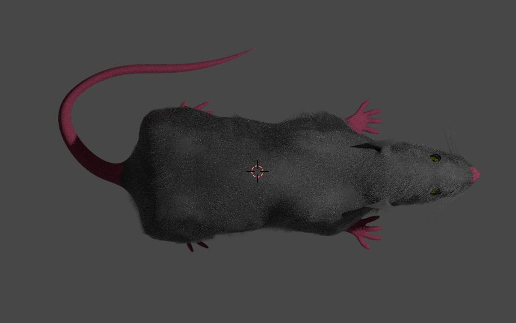 3D rat model https://p.turbosquid.com/ts-thumb/TF/zu3mvh/RhYTWwWY/3/jpg/1600933244/1920x1080/fit_q87/143664c40acc38e7078c4b3aff4c6c6ed7ab54b6/3.jpg