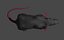 Rat