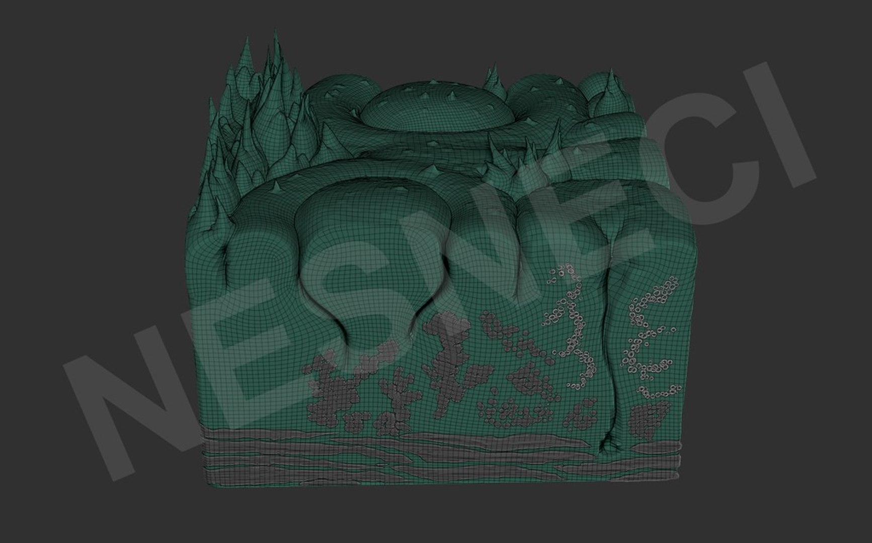 3D cross section tongue https://p.turbosquid.com/ts-thumb/TG/KHz1qq/HnsXgWSR/wireframe_0003_result/jpg/1513048160/1920x1080/fit_q87/ac8944714bdefb7642764f53343f2d3f13638947/wireframe_0003_result.jpg