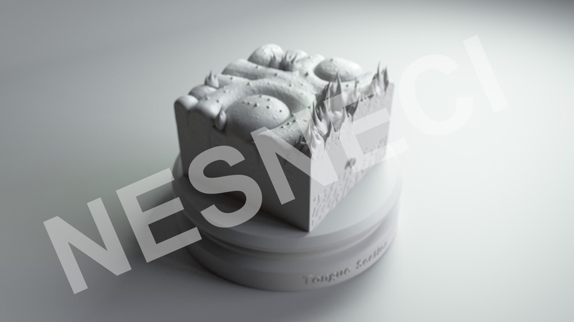 3D cross section tongue https://p.turbosquid.com/ts-thumb/TG/KHz1qq/N3QmXIc3/render_0006/jpg/1513048109/1920x1080/fit_q87/51450b7aacfa45afc0760b0a510162b70fe38419/render_0006.jpg