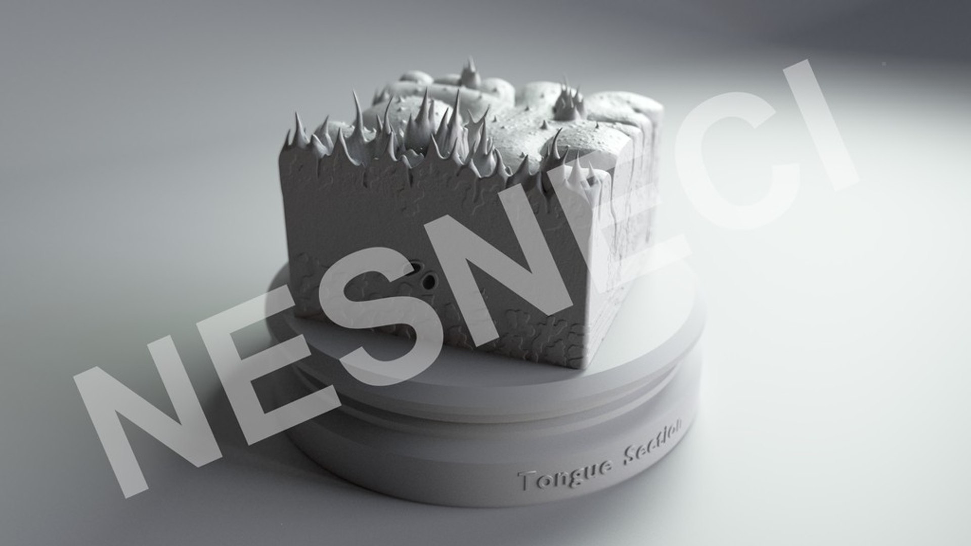 3D cross section tongue https://p.turbosquid.com/ts-thumb/TG/KHz1qq/w2pviZBD/render_0005/jpg/1513048094/1920x1080/fit_q87/94883cb9f5d220d278daec63c7f37a34aa33f2f9/render_0005.jpg