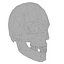 Sci-Fi Shapes - The Skull