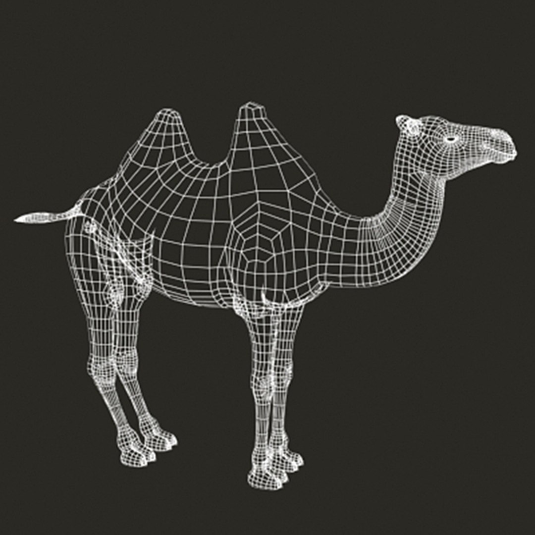 polygonal camel 3d model https://p.turbosquid.com/ts-thumb/TG/kdOOTH/1kKEu2a0/camel_wire1/jpg/1321907935/1920x1080/fit_q87/b9c26e3806a813a7431ad8631332e147ccebec8d/camel_wire1.jpg