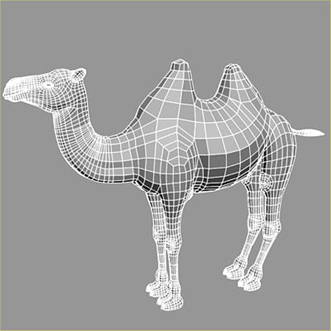polygonal camel 3d model https://p.turbosquid.com/ts-thumb/TG/kdOOTH/AdkZx9Eg/wire2/jpg/1321907935/1920x1080/fit_q87/75c7b02f2b656ef388f4f53b8d0272a0e41b98e1/wire2.jpg