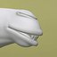 Chameau modèle 3d