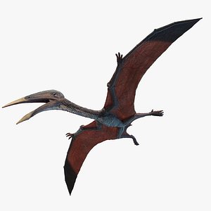 hatzegopteryx 3D model