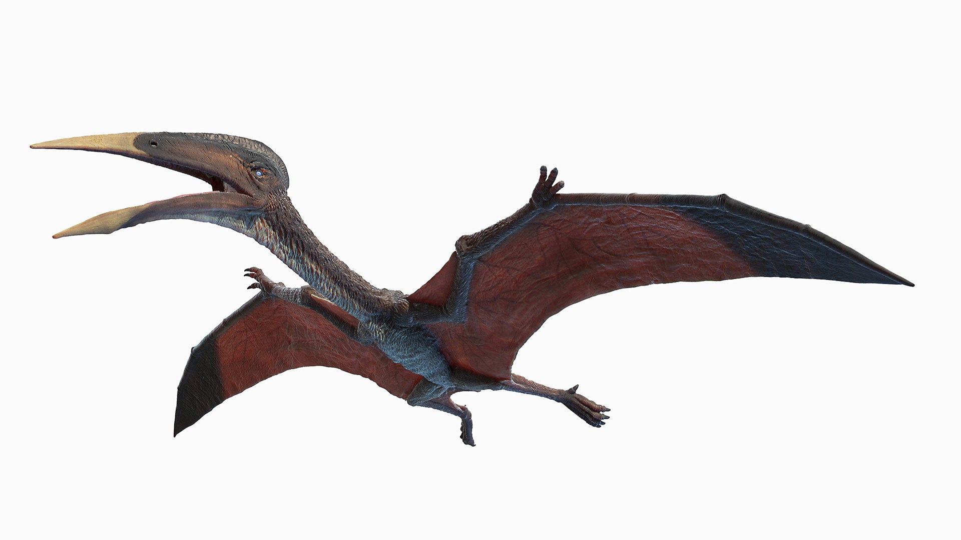 Hatzegopteryx 3D Model - TurboSquid 1658036
