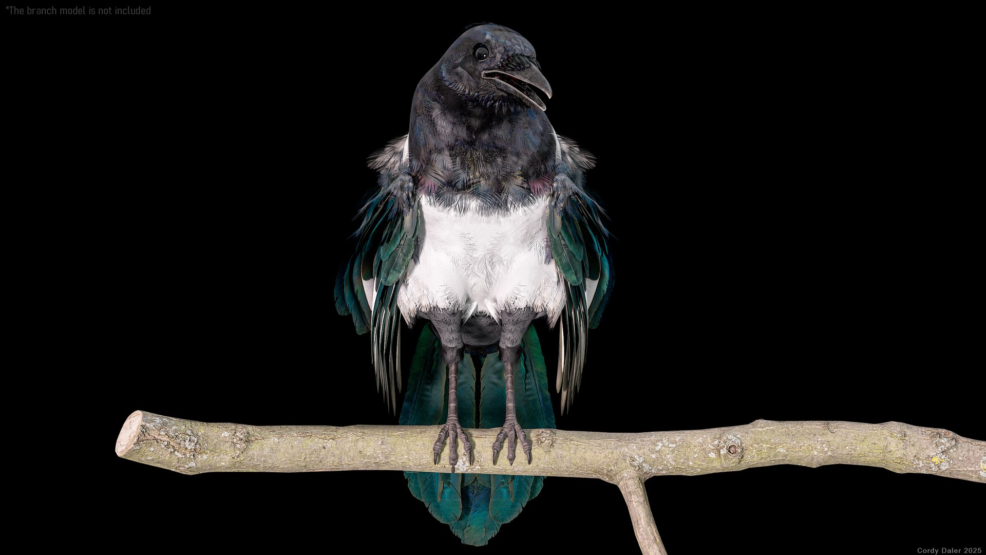 Eurasian Magpie Rigged PBR 3D model https://p.turbosquid.com/ts-thumb/TH/3eJcWL/Yf/r_viewport_014/png/1762634225/1920x1080/fit_q87/118bb27dd54acfde1b816911536fbbcfcf517ec6/r_viewport_014.jpg