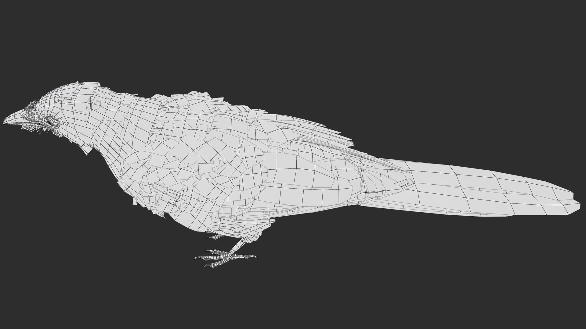 Eurasian Magpie Rigged PBR 3D model https://p.turbosquid.com/ts-thumb/TH/3eJcWL/hW/screenshot039/png/1762634247/1920x1080/fit_q87/1b0ac6b3f6a463af6d1bca763f9bea416c4a3a40/screenshot039.jpg
