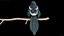 Eurasian Magpie Rigged PBR 3D model